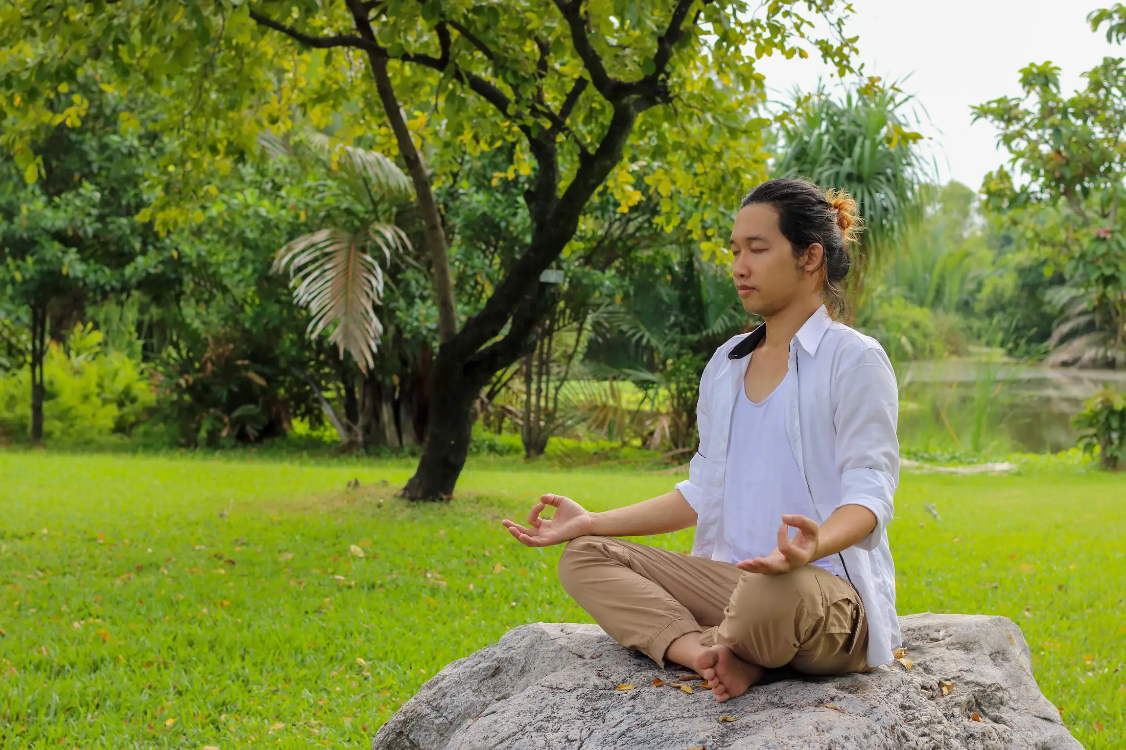 Un joven practica meditación sobre una roca en un parque verde y frondoso, rodeado de árboles y un pequeño estanque.